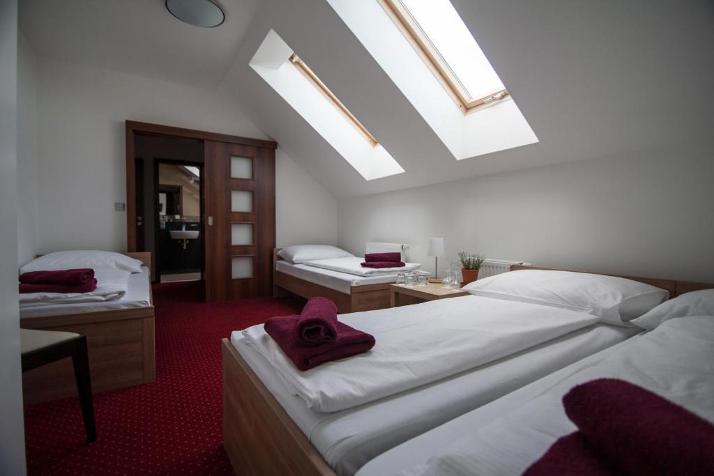 Hotel Krusnohorsky Dvur Cínovec Δωμάτιο φωτογραφία